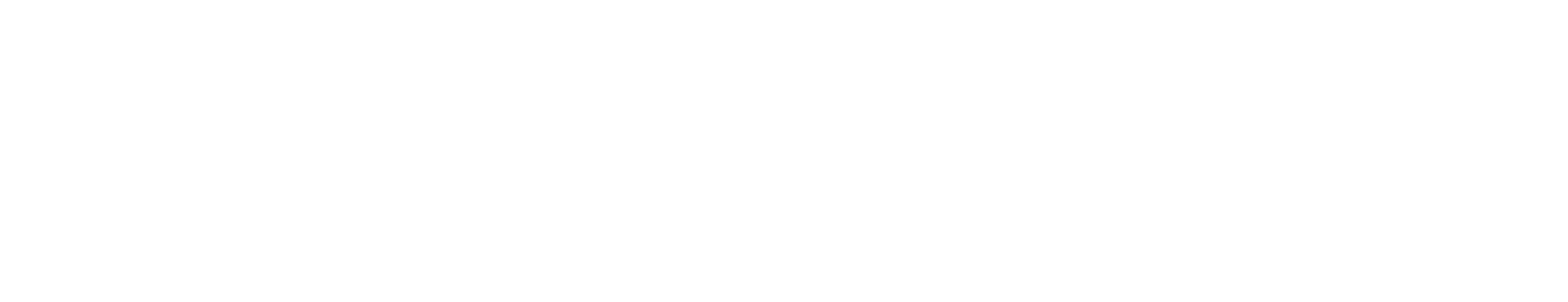 Congo Biogeochemical Observatory Logo